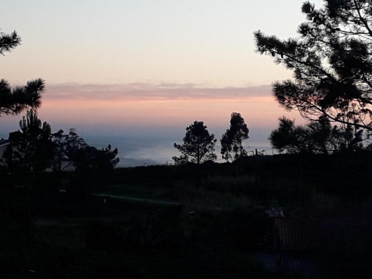 Quinta Bogesi Bed & Breakfast Figueira da Foz Dış mekan fotoğraf