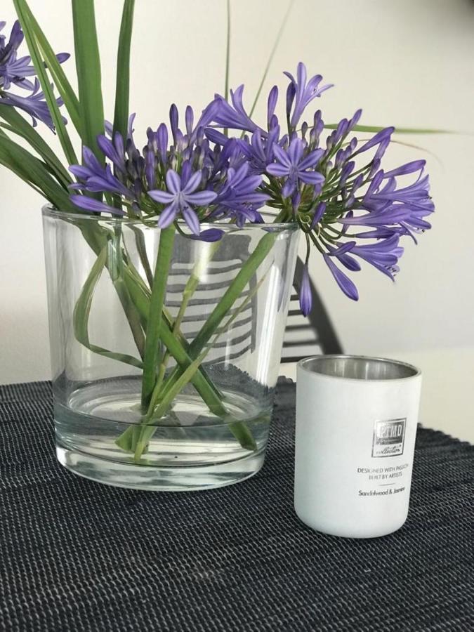 Quinta Bogesi Bed & Breakfast Figueira da Foz Dış mekan fotoğraf